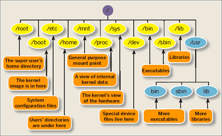 Linux-Directorios