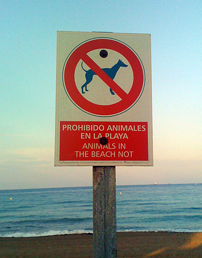 Playa-Animales