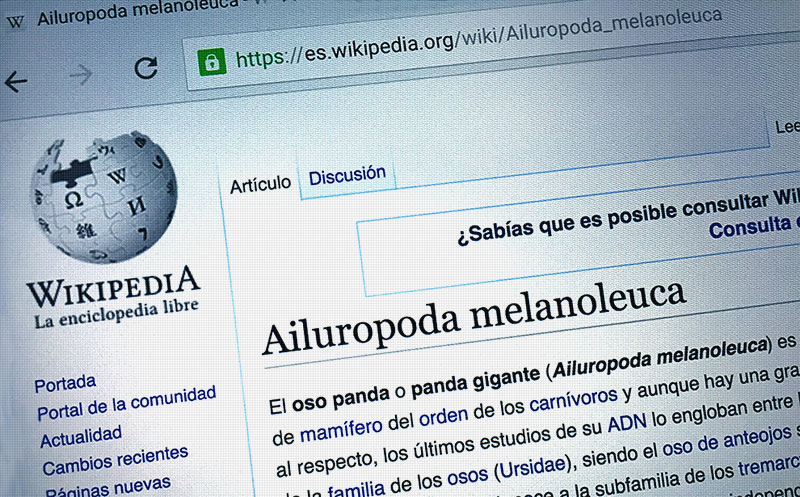 Google vs. Wikipedia (CC)-by Alvy