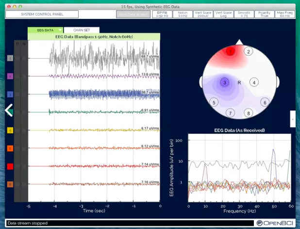 BCI EEG Data
