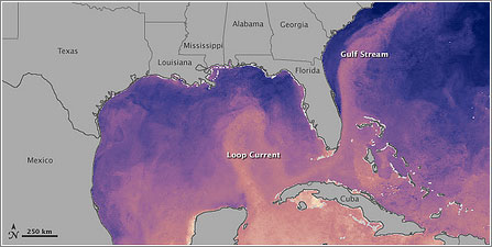 La corriente del golfo y el vertido. Foto: NASA