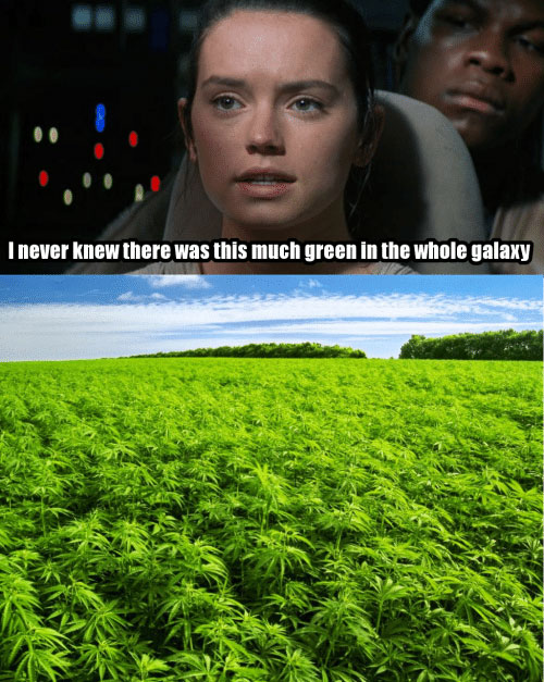 I never knew there was this much green…