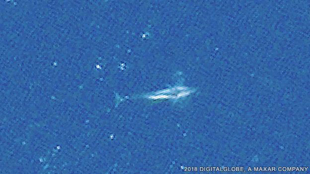 Una ballena vista por el WorldView-3