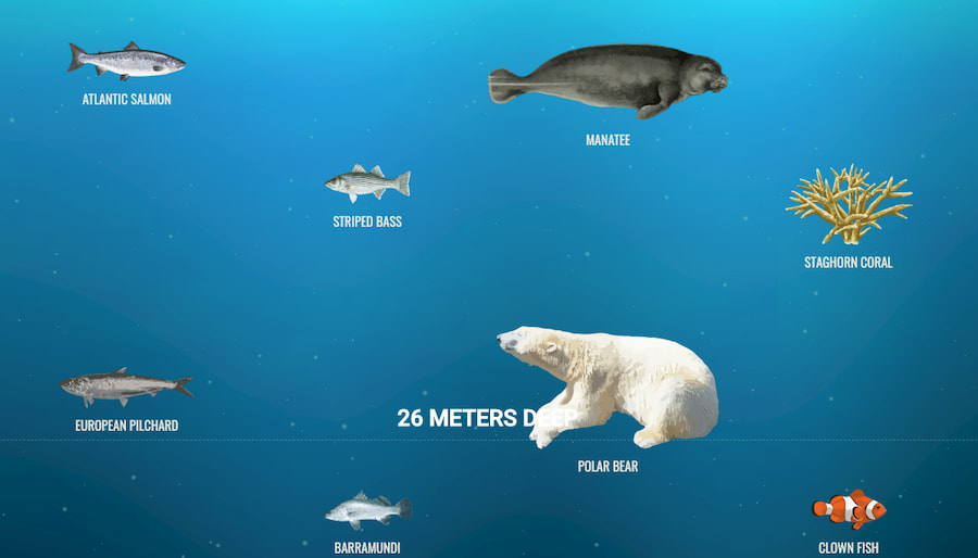 El mar profundo, una infografía casi infinita hasta las profundidades abisales