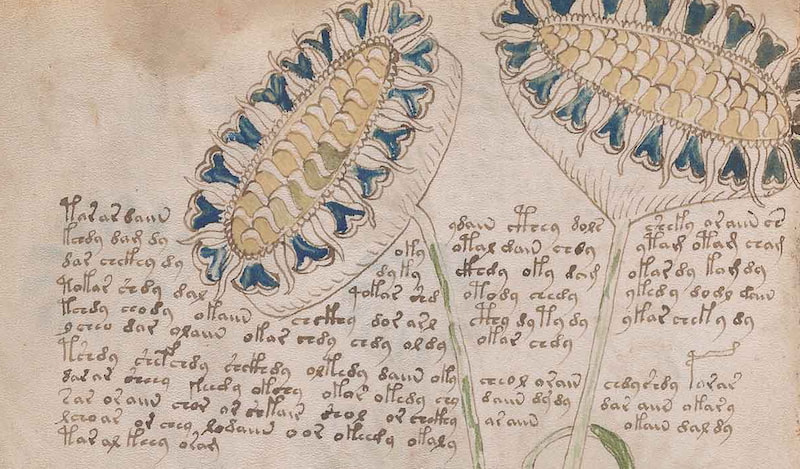 The Language and Writing System of MS408 (Voynich) Explained