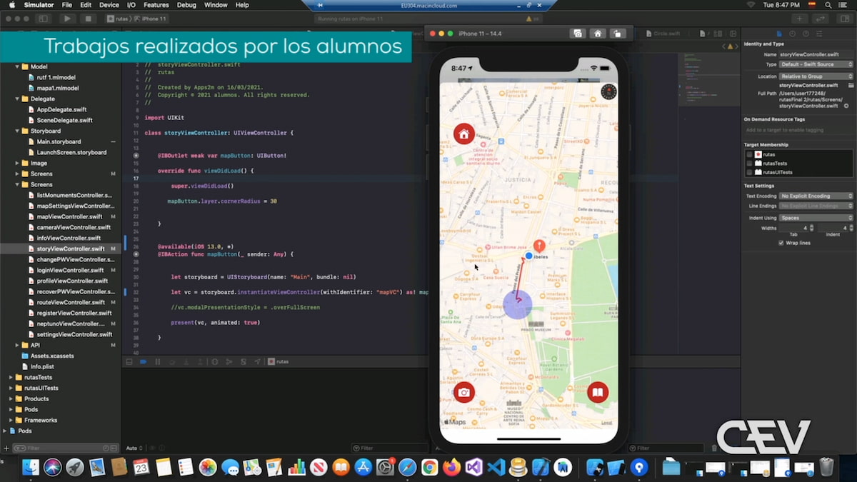 Las Salidas Profesionales En El Desarrollo De Apps Nativas E Híbridas ...