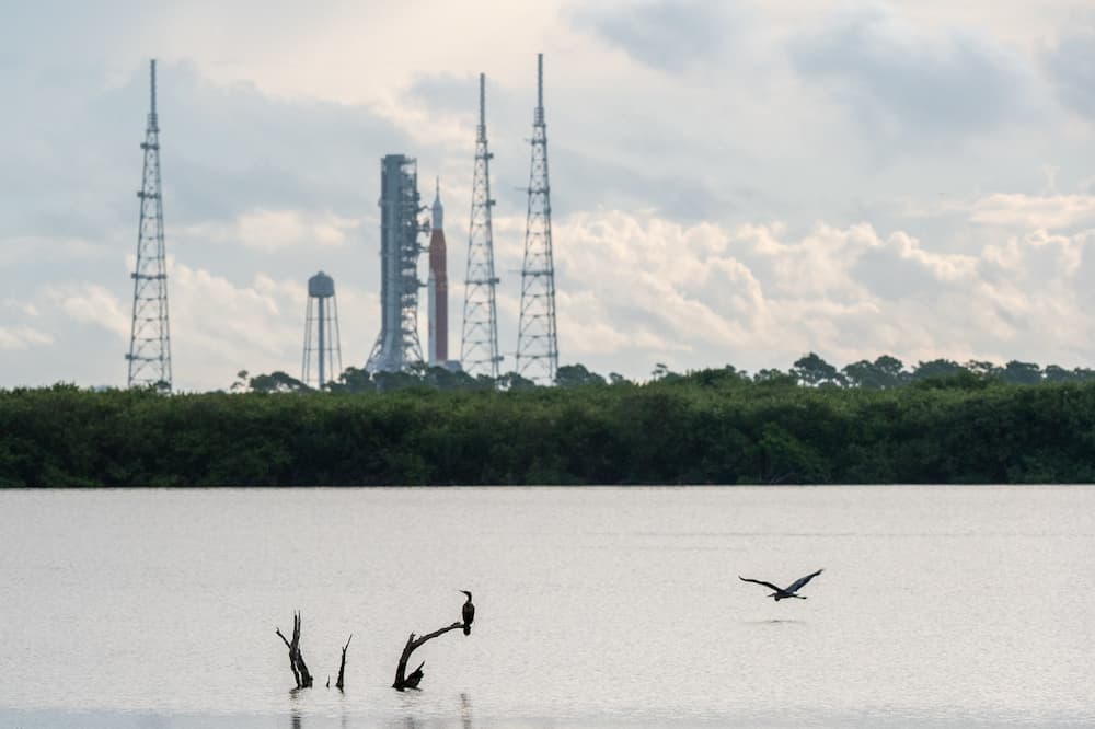 El SLS en la plataforma de lanzamiento visto a través del agua del río Cocoa, con unos pájaros en primer plano – NASA/Keegan Barber