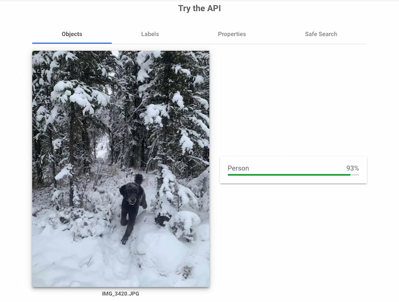 La ilusión óptica del excursionista en la nieve + Cloud Vision API