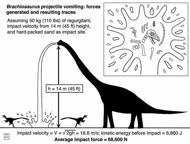 Morir por el impacto de la pota de un braquiosaurio: una muerte tan inútil como espectacularmente épica