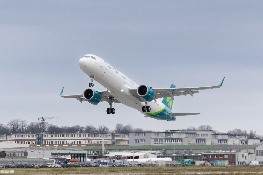 El avión yéndose al aire