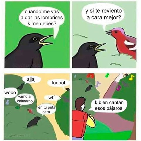 Meme de los pájaros