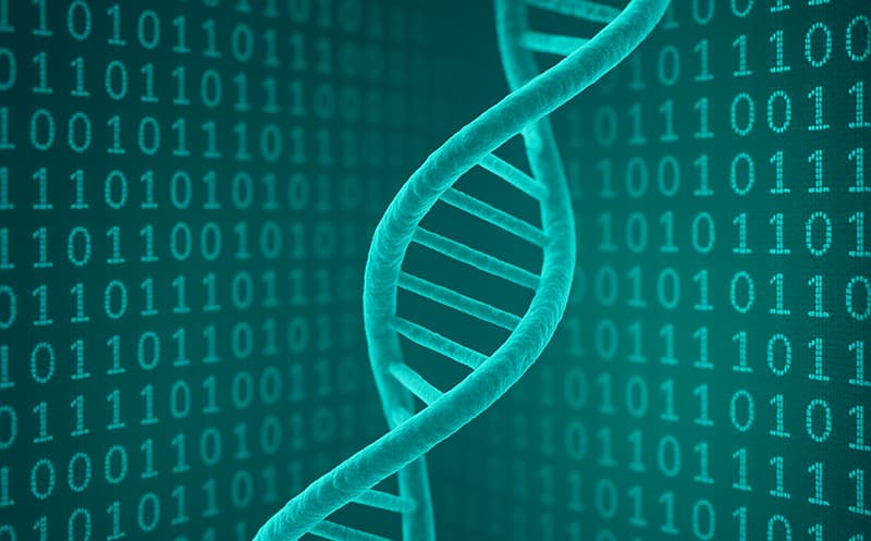 Ilustración de una doble hélice de ADN y fondo binario / GPT-4o / El ADN humano contiene entre 15 y 750 MB de información, según cómo se mida
