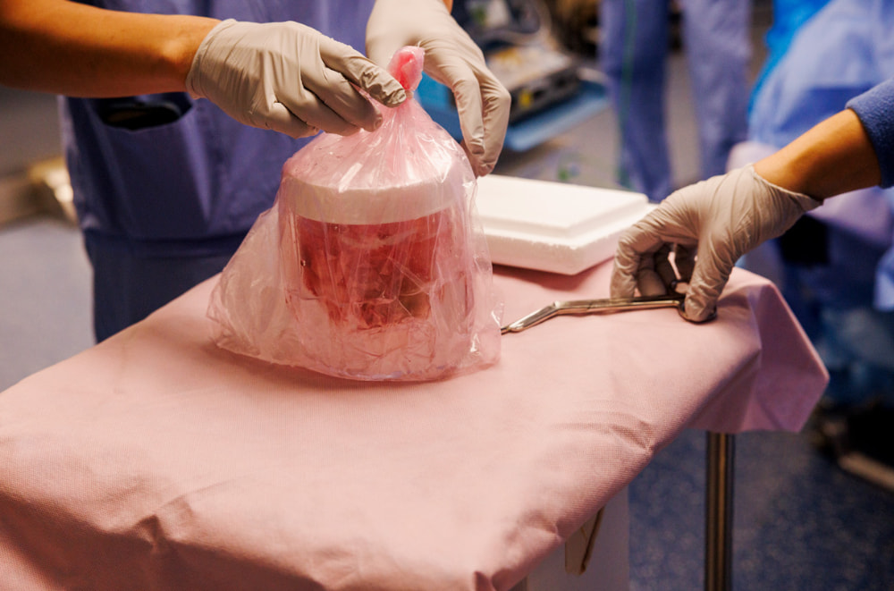 El título La descripción