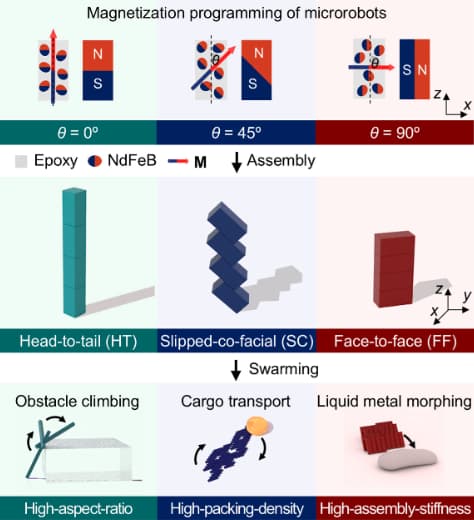 Microrobots con inteligencia colectiva: fuertes como hormigas, dotados de precisión quirúrgica y además se pueden producir en masa
