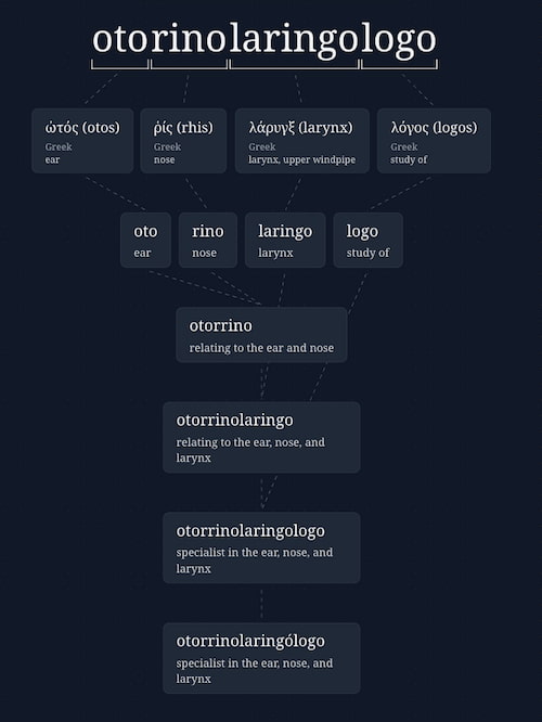 Deconstruyendo palabras: otorrinolaringólogo