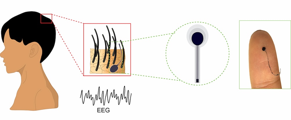 Un esquema que muestra cómo funciona el EEG, y una foto a tamaño real / Monitorizar la actividad cerebral con un sensor EEG con el aspecto y tamaño de un cabello humano