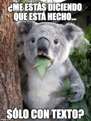 Koala meme: WTF ASCII Art!