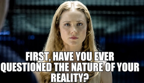 Westworld / Nature of your Reality