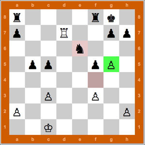 Chess5