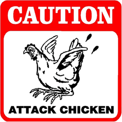Attackchicken
