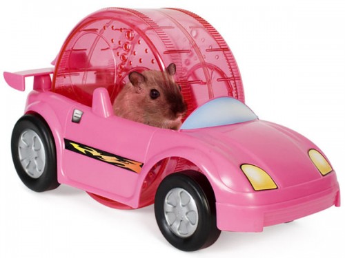 Hamster-Racer-Set-500X375