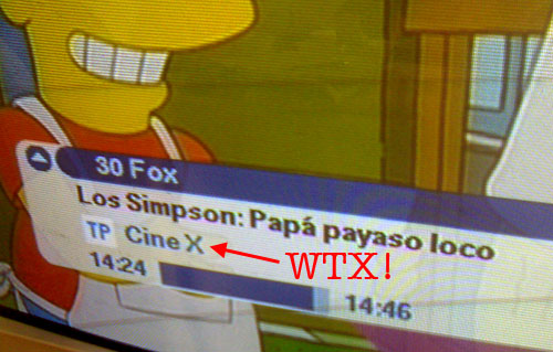 Los Simpson X