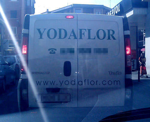 Yodaflor