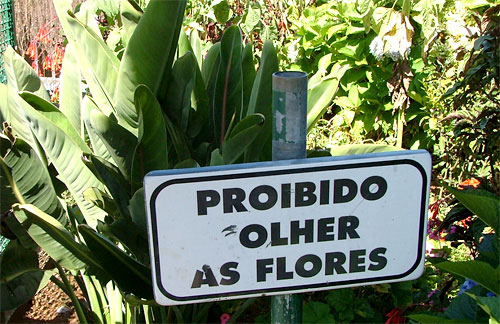 Prohibido olher Flores