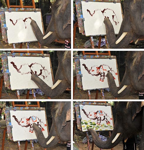Elefante que pinta Elefante (C) Reuters / Daily Telegraph
