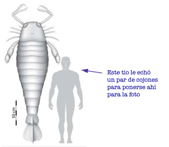 Escorpion Prehistórico. Infografía de Biology Letters (excepto el chiste)