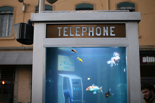 Phone-Aquarium