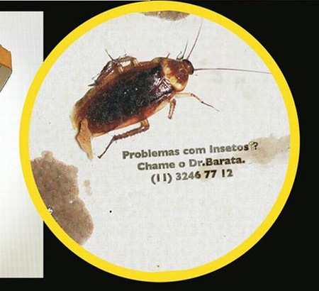 Publicidad Exterminador insectos