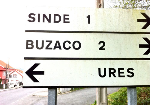 Sinde1-Buzaco2