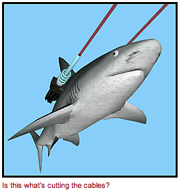 Tiburon-Cables
