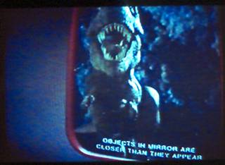 T-Rex in Mirror, WTF!