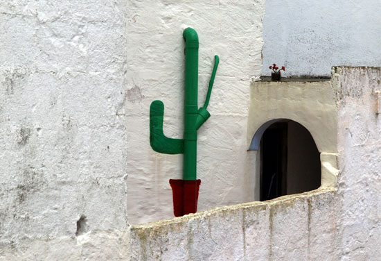 Tuberia-Cactus